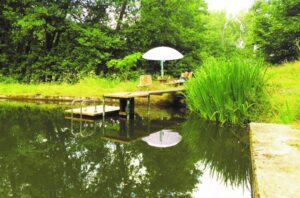 Yoga Retreat Teich